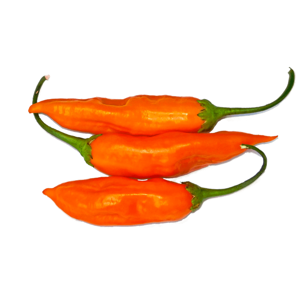 Aji Golden