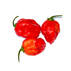 Habanero red